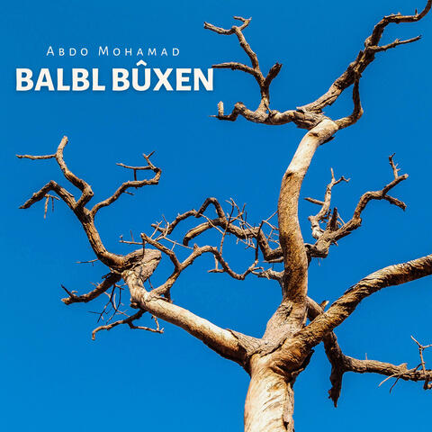 Balbl Bûxen