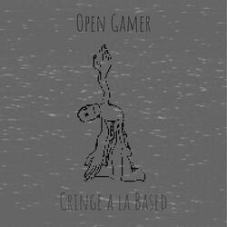 Open Gamer
