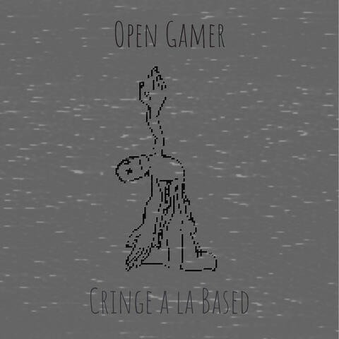 Open Gamer