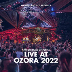Frog (Live at Ozora 2022)