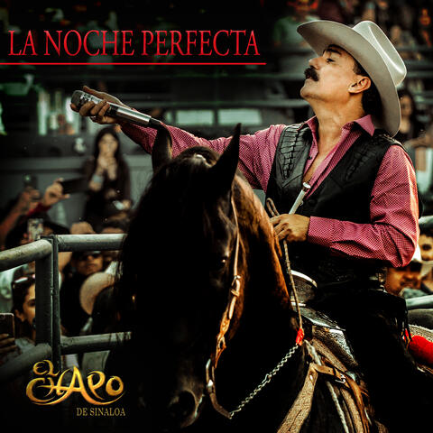 La Noche Perfecta