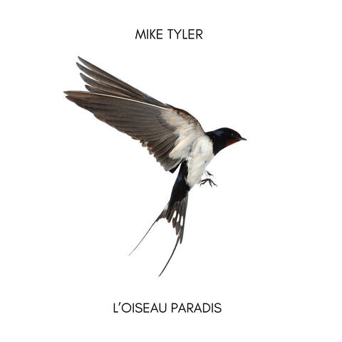 L'oiseau Paradis