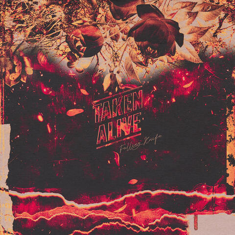 Falling Knife