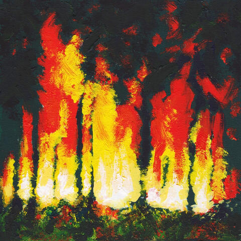 Fires