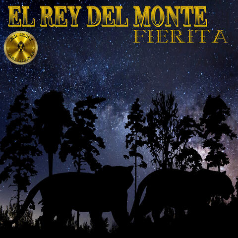Fierita