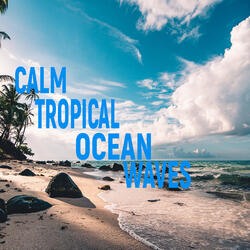 Calm Tropical Ocean Waves