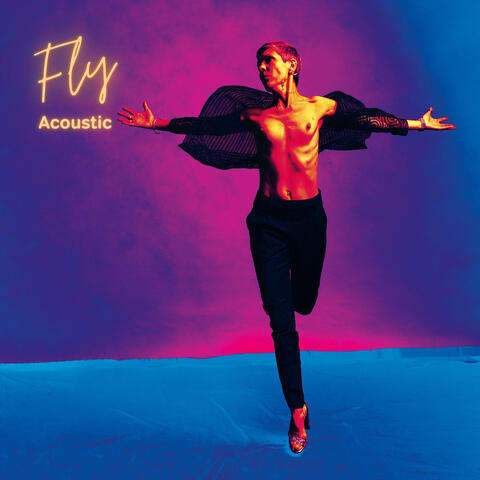 Fly - Acoustic