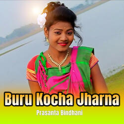 Buru Kocha Jharna