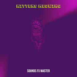 Cat Mew Sound