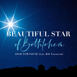 Beautiful Star of Bethlehem