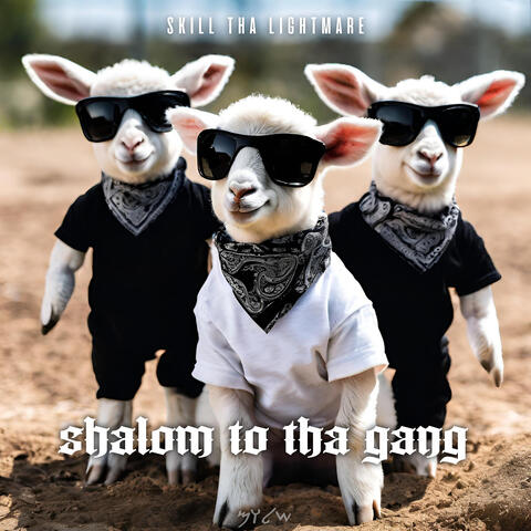 Shalom to tha Gang