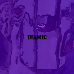 Inamic