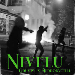 Nivelu