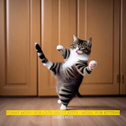 Cat Song