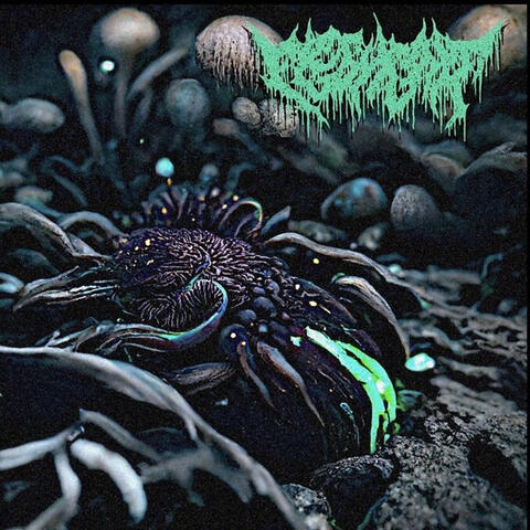 Symbiosis