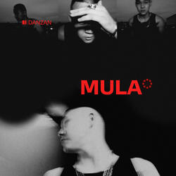 Mula