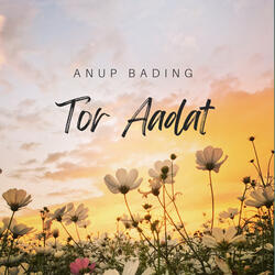 Tor Aadat