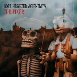 The Fixer
