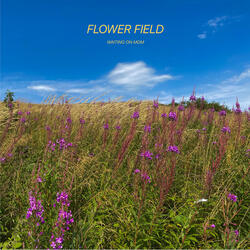 Flower Field