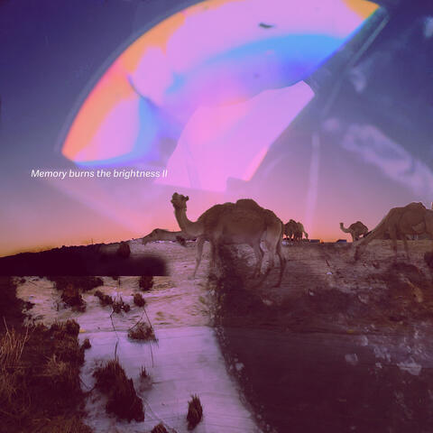 Memory Burns the Brightness 2