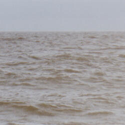 Wild Sea, Pt. 8