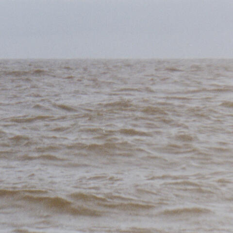 Wild Sea