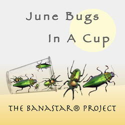 June Bugs in a Cup