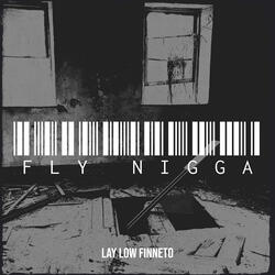 Fly Nigga