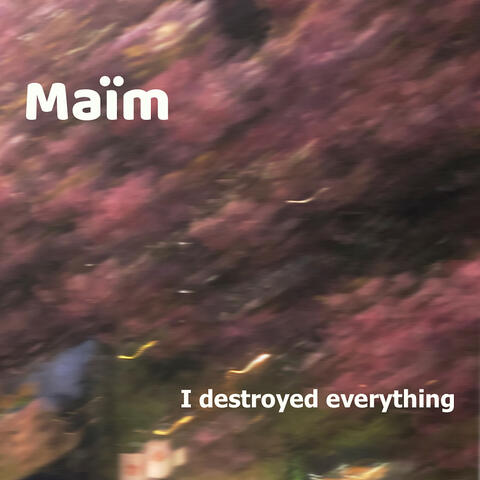 I Destroyed Everything