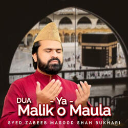 Dua Ya Malik O Maula