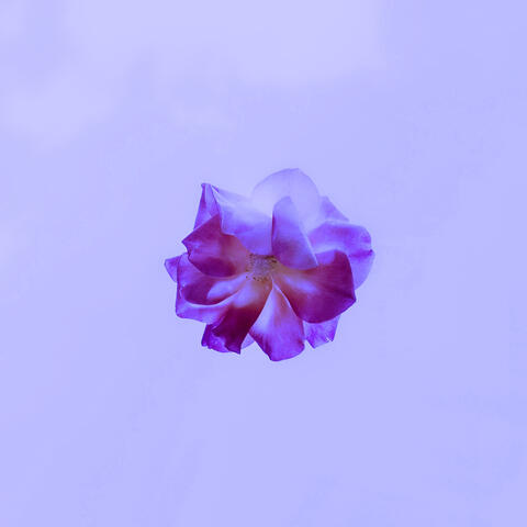 Thought Process (Acoustic)