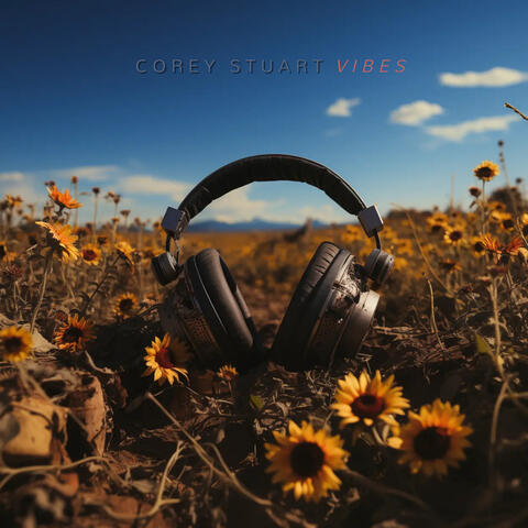 Vibes