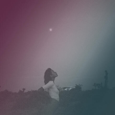 Nightshade