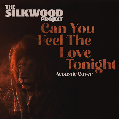 Can You Feel the Love Tonight (Acoustic Cover)