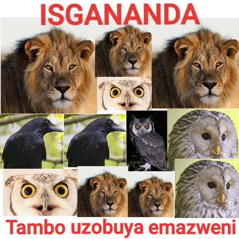 Tambo Uzobuya Emazweni