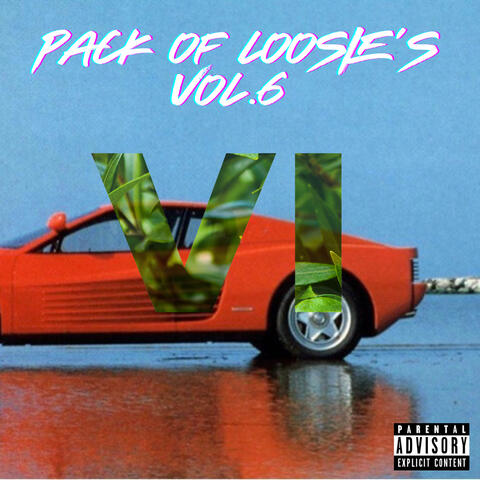 A Pack of Loosie's, Vol.6