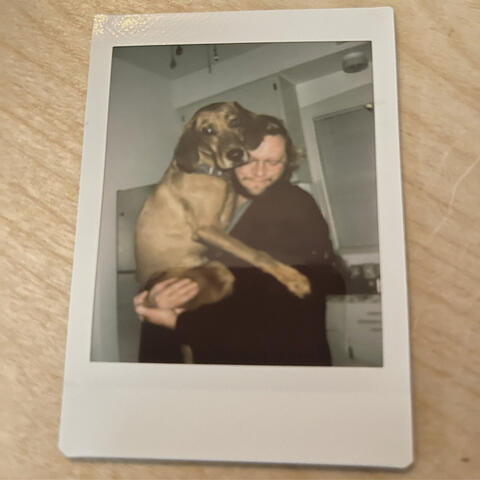 Falling in Love Again
