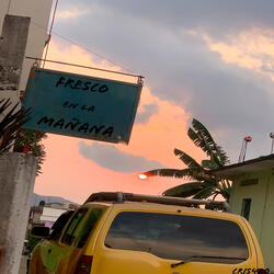 Fresco En La Mañana