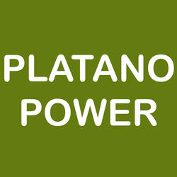 Platano Power