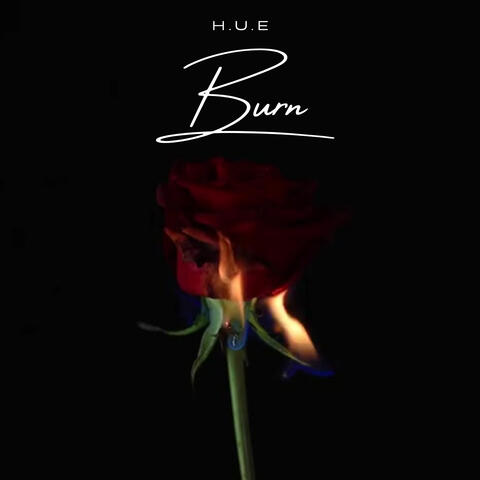 Burn