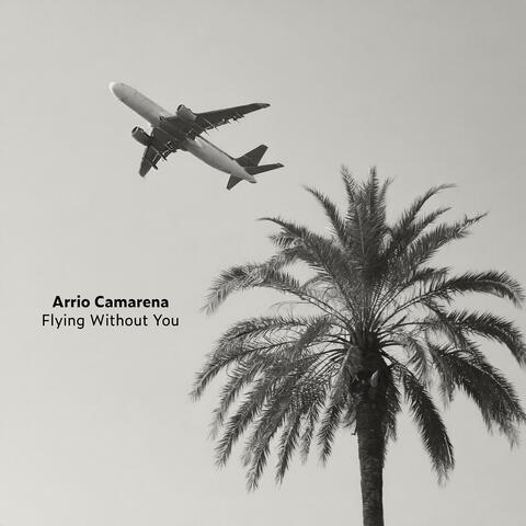 Flying Without You