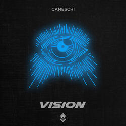 Vision