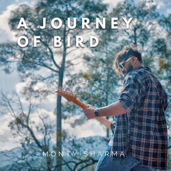 A Journey of Bird