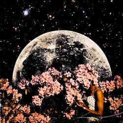 Paradise Lost