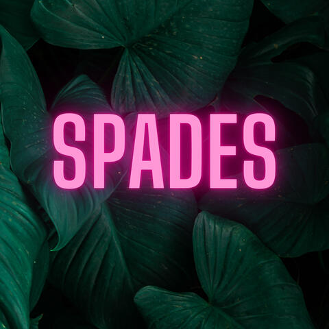 Spades (Acoustic)