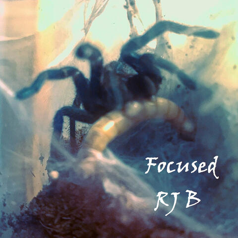 Focused