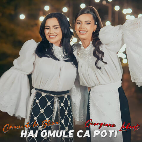 Hai Omule Ca Poti