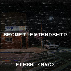 Secret Friendship