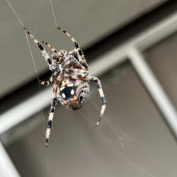 I Want to Hold You Tight