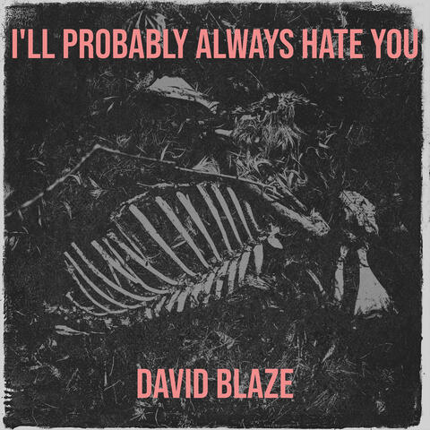 I'll Probably Always Hate You